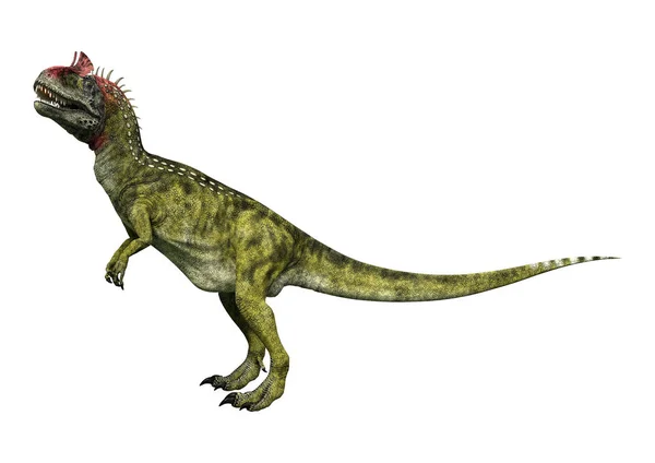 3D renderowania Cryolophosaurus dinozaur na białym — Zdjęcie stockowe