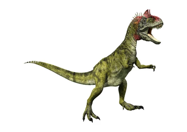 白の 3 d のレンダリング恐竜クリョロフォサウルス — ストック写真