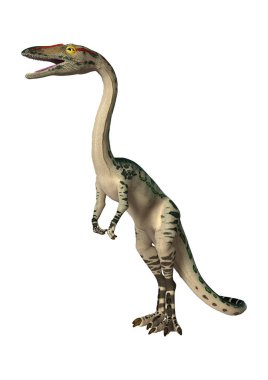 3D render dinozor Coelophysis beyaz