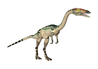3D render dinozor Coelophysis beyaz