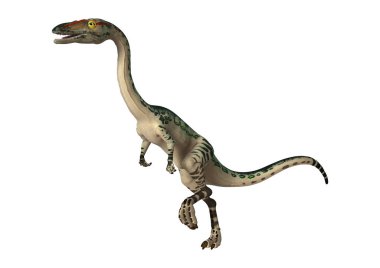 3D render dinozor Coelophysis beyaz
