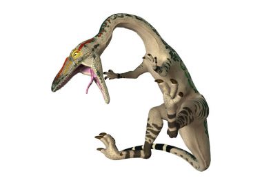 3D Rendering Dinosaur Coelophysis on White clipart