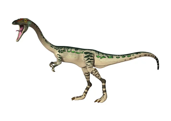 Coelófisis de dinosaurio de renderización 3D en blanco — Foto de Stock