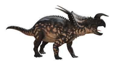 3D render dinozor Einiosaurus beyaz