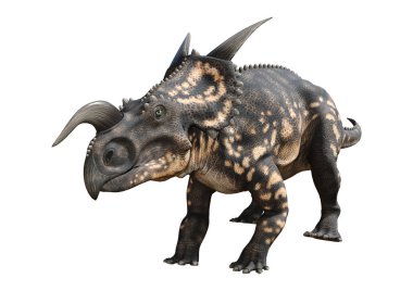 3D render dinozor Einiosaurus beyaz