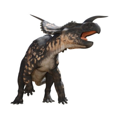 3D render dinozor Einiosaurus beyaz