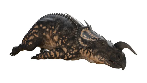 3D render dinozor Einiosaurus beyaz — Stok fotoğraf