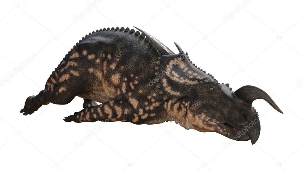 3D Rendering Dinosaur Einiosaurus on White