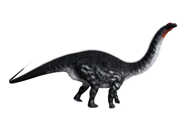 Dinosauro di rendering 3D Apatosaurus su bianco — Foto Stock