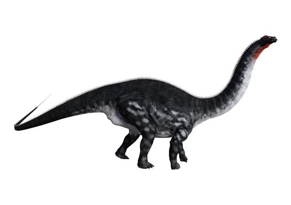 3D renderowania Apatozaur dinozaur na białym — Zdjęcie stockowe