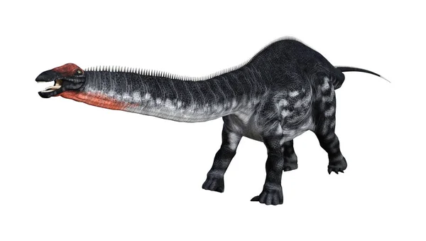 화이트에 3d 렌더링 공룡 Apatosaurus — 스톡 사진