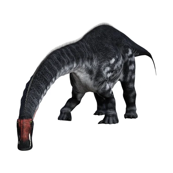 Dinosauro di rendering 3D Apatosaurus su bianco — Foto Stock