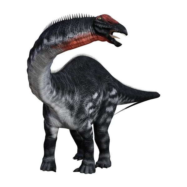 3D renderowania Apatozaur dinozaur na białym — Zdjęcie stockowe