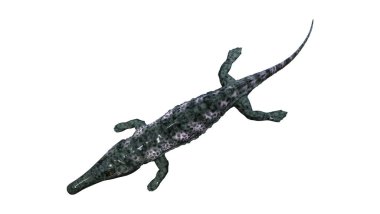 3D render Archegosaurus beyaz