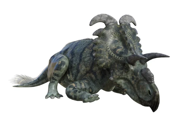 在白色的 3d 渲染恐龙 Albertaceratops — 图库照片