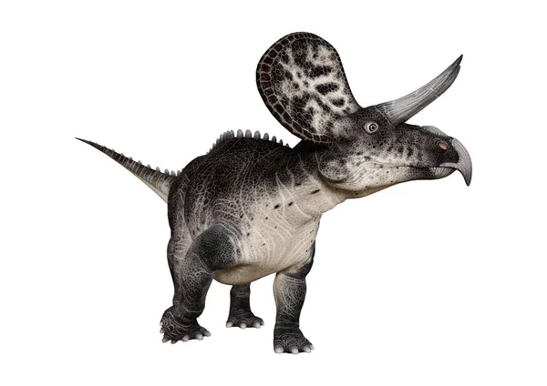 Dinosauro di rendering 3D Zuniceratops su bianco — Foto Stock