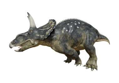 3D render dinozor Diceratops beyaz