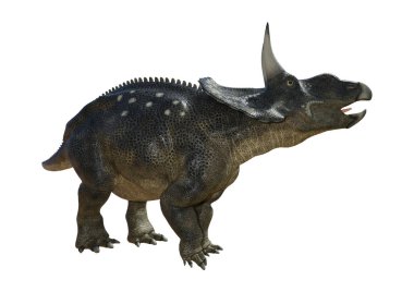 3D render dinozor Diceratops beyaz