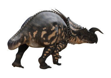 3D render dinozor Einiosaurus beyaz