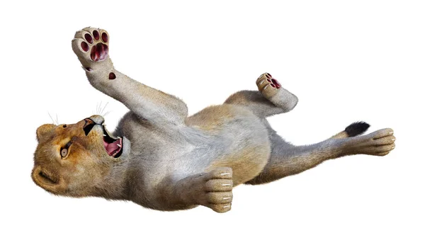 3D Rendering Löwenweibchen auf Weiß — Stockfoto