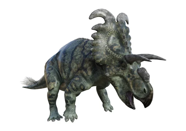 Dinosauro di rendering 3D Albertaceratops su bianco — Foto Stock