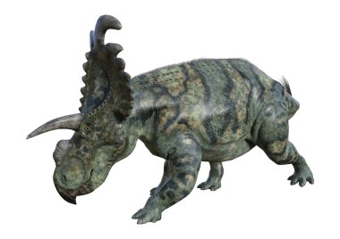 3D render dinozor Albertaceratops beyaz