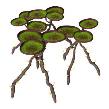 3D render yabancı bitkiler üzerinde beyaz