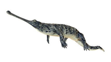 3D render Gharial timsah beyaz