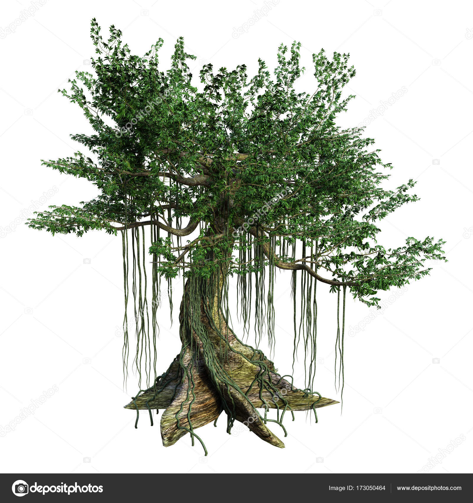 Tronc de kapok images libres de droit, photos de Tronc de kapok |  DepositPhotos, image size:1600x1700