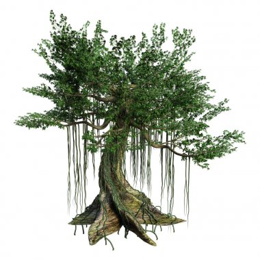 3D render Kapok ağaç beyaz