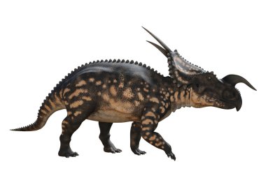 3D render dinozor Einiosaurus beyaz