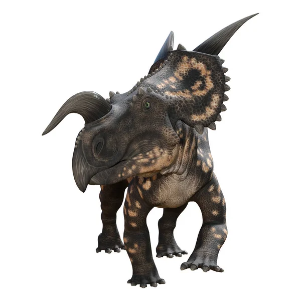 화이트에 3d 렌더링 공룡 Einiosaurus — 스톡 사진