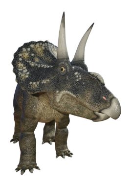 3D render dinozor Diceratops beyaz