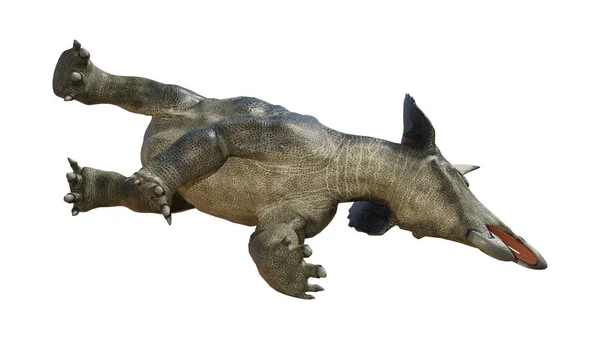 Representación 3D de dinosaurios Diceratops en blanco —  Fotos de Stock