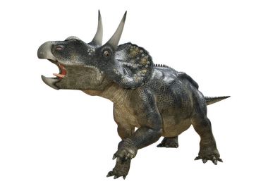 3D render dinozor Diceratops beyaz