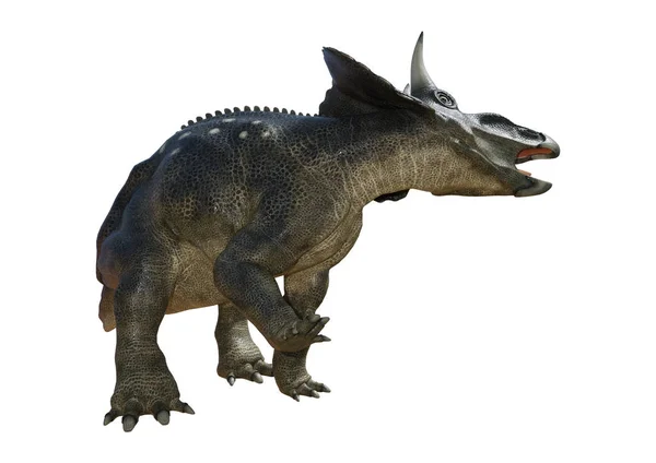 在白色的 3d 渲染恐龙 Diceratops — 图库照片