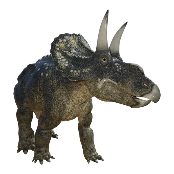 3D render dinozor Diceratops beyaz