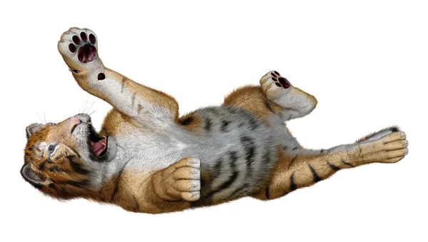 3D rendering stor katt Tiger på vit — Stockfoto