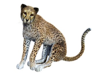 3D render büyük kedi Cheetah beyaz