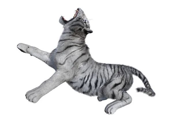 3d Renderização De Um Tigre Branco Ilustração Stock - Ilustração de raro,  grande: 234290994