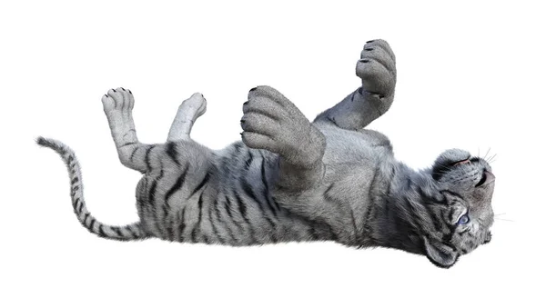 3D vykreslování bílý tygr na bílém pozadí — Stock fotografie
