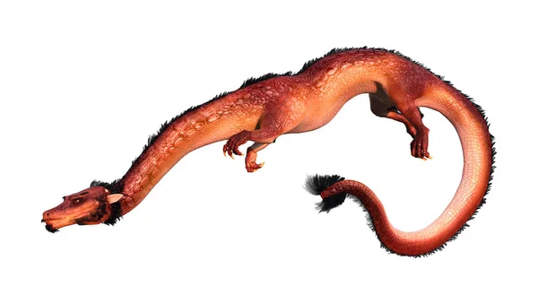 Rendu 3D Dragon oriental sur blanc — Photo