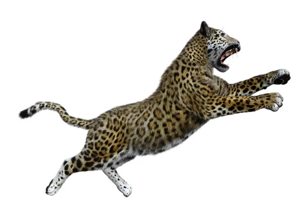 3D rendering stor katt Jaguar på vit — Stockfoto