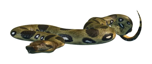 3D rendering van de groene Anaconda op wit — Stockfoto