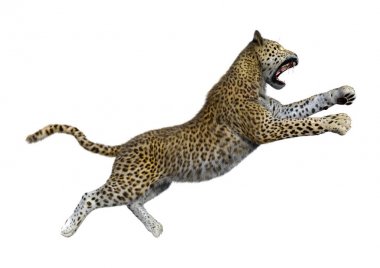 3D render büyük kedi Leopard üzerinde beyaz