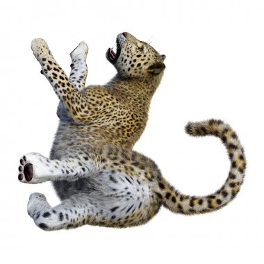 3D render büyük kedi Leopard üzerinde beyaz