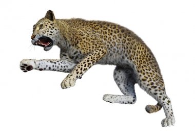 3D render büyük kedi Leopard üzerinde beyaz
