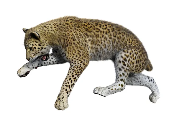 3D render büyük kedi Leopard üzerinde beyaz