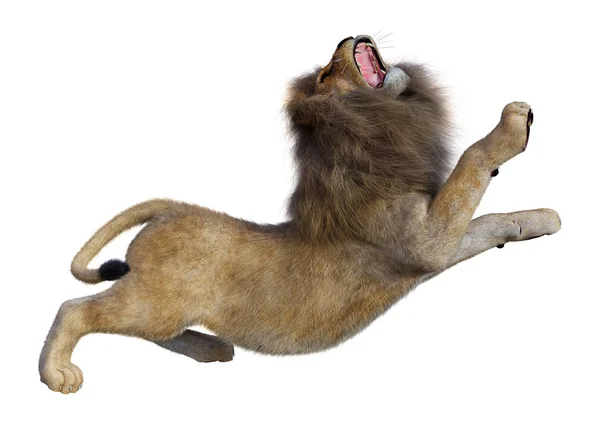 3D Rendering Male Lion on White — Stock Photo, Image