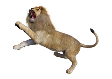 Beyaz üzerine 3D render erkek aslan